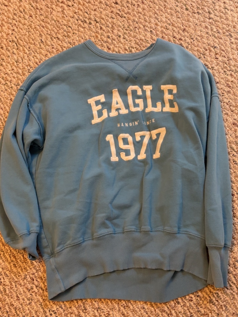 American eagle blue crewneck - Picture 1 of 1